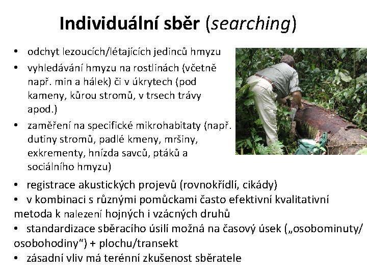 Individuální sběr (searching) • odchyt lezoucích/létajících jedinců hmyzu • vyhledávání hmyzu na rostlinách (včetně