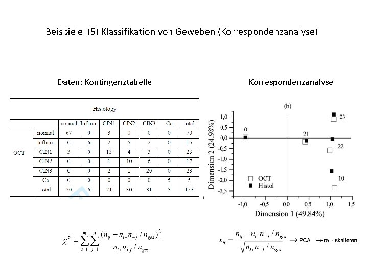 Beispiele (5) Klassifikation von Geweben (Korrespondenzanalyse) Daten: Kontingenztabelle Korrespondenzanalyse 