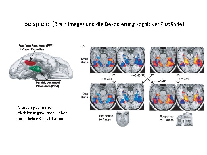 Beispiele (Brain Images und die Dekodierung kognitiver Zustände) Musterspezifische Aktivierungsmuster – aber noch keine