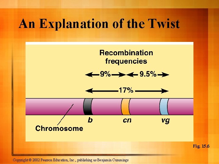 An Explanation of the Twist Fig. 15. 6 Copyright © 2002 Pearson Education, Inc.