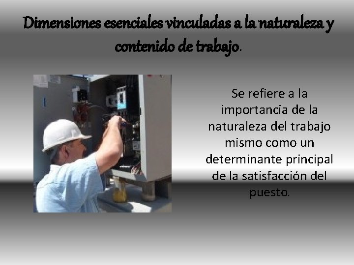 Dimensiones esenciales vinculadas a la naturaleza y contenido de trabajo. Se refiere a la