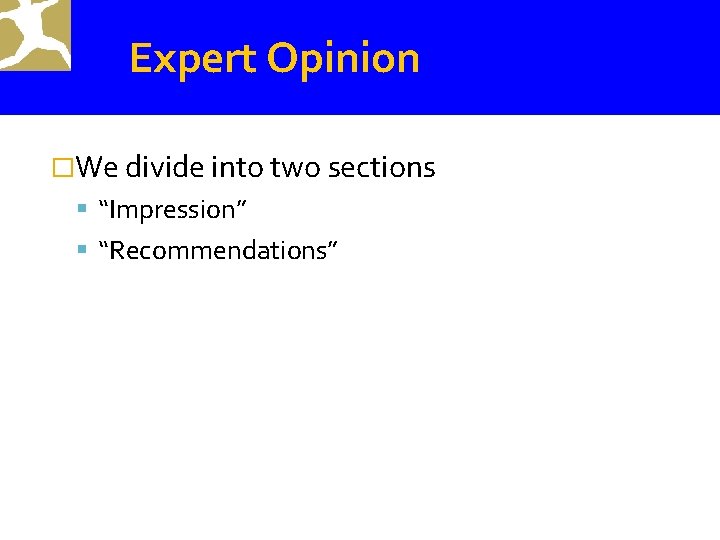 Expert Opinion �We divide into two sections “Impression” “Recommendations” 