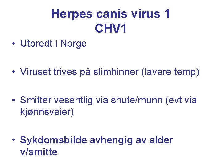 Herpes canis virus 1 CHV 1 • Utbredt i Norge • Viruset trives på