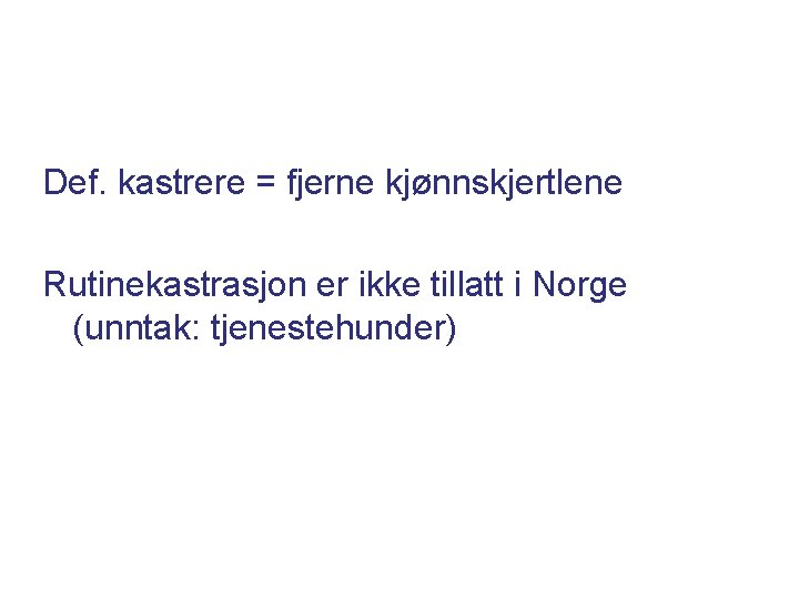 Def. kastrere = fjerne kjønnskjertlene Rutinekastrasjon er ikke tillatt i Norge (unntak: tjenestehunder) 