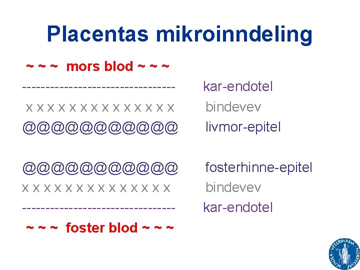 Placentas mikroinndeling ~ ~ ~ mors blod ~ ~ ~ ----------------xxxxxxx @@@@@@@@@@@ xxxxxxx ----------------~