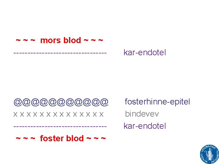~ ~ ~ mors blod ~ ~ ~ ----------------- @@@@@@ xxxxxxx ----------------~ ~ ~