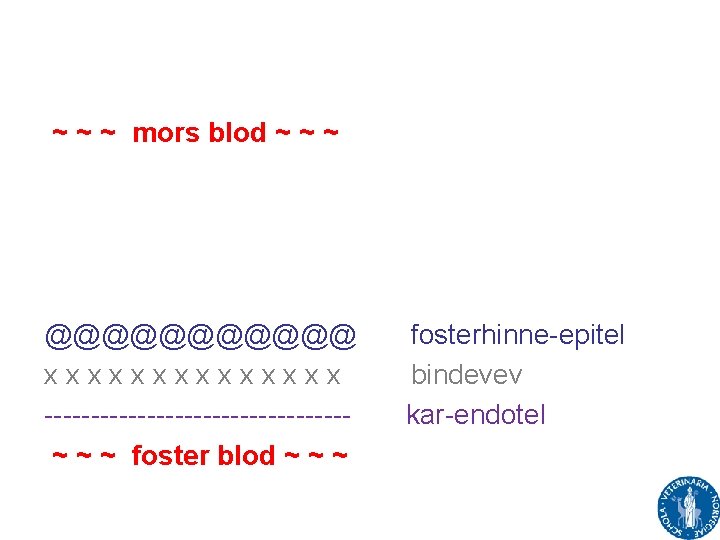 ~ ~ ~ mors blod ~ ~ ~ @@@@@@ xxxxxxx ----------------~ ~ ~ foster