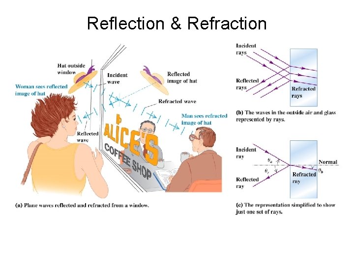 Reflection & Refraction 