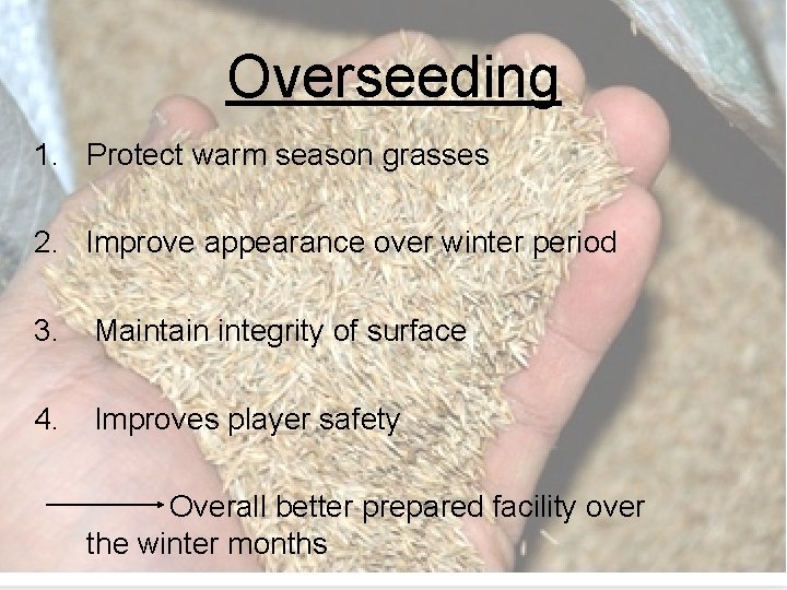 Overseeding 1. Protect warm season grasses 2. Improve appearance over winter period 3. Maintain