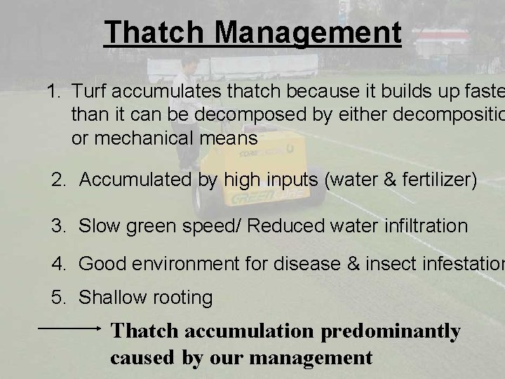 Thatch Management 1. Turf accumulates thatch because it builds up faste than it can