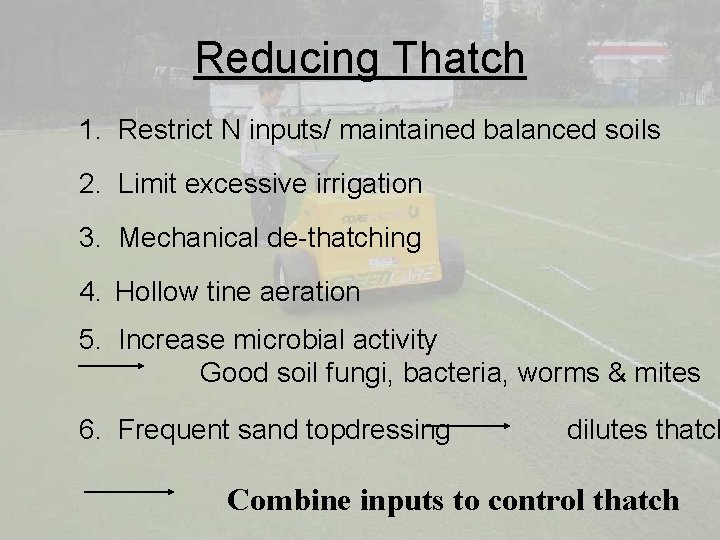 Reducing Thatch 1. Restrict N inputs/ maintained balanced soils 2. Limit excessive irrigation 3.