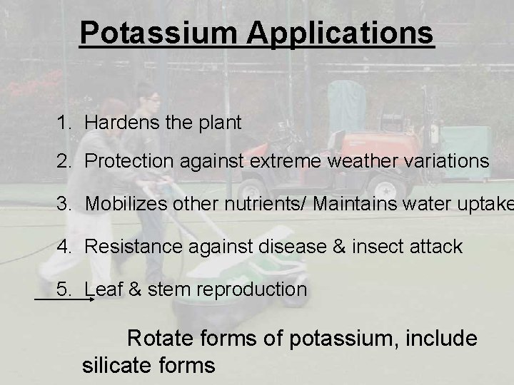 Potassium Applications 1. Hardens the plant 2. Protection against extreme weather variations 3. Mobilizes