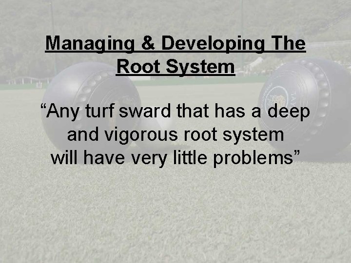 Managing & Developing The Root System “Any turf sward that has a deep and