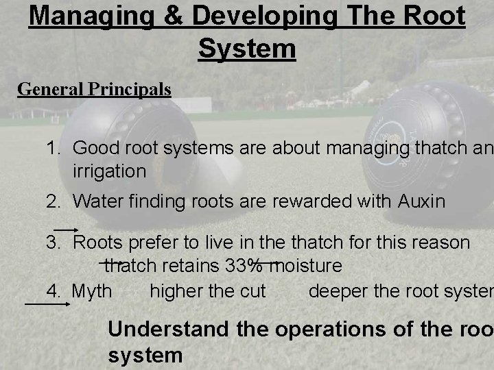 Managing & Developing The Root System General Principals 1. Good root systems are about