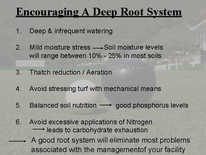 Encouraging A Deep Root System 1. Deep & infrequent watering 2. Mild moisture stress
