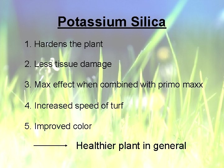 Potassium Silica 1. Hardens the plant 2. Less tissue damage 3. Max effect when