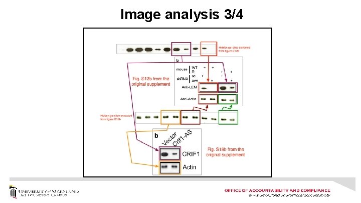 Image analysis 3/4 