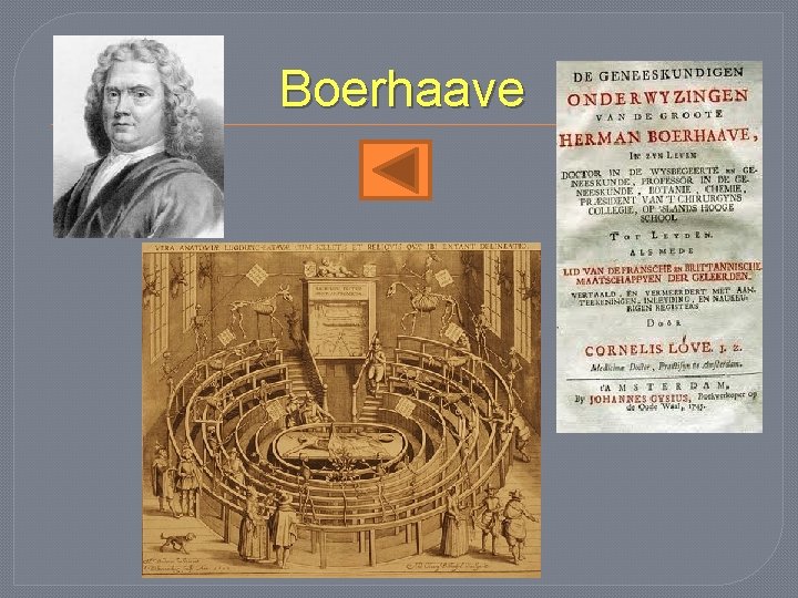 Boerhaave 