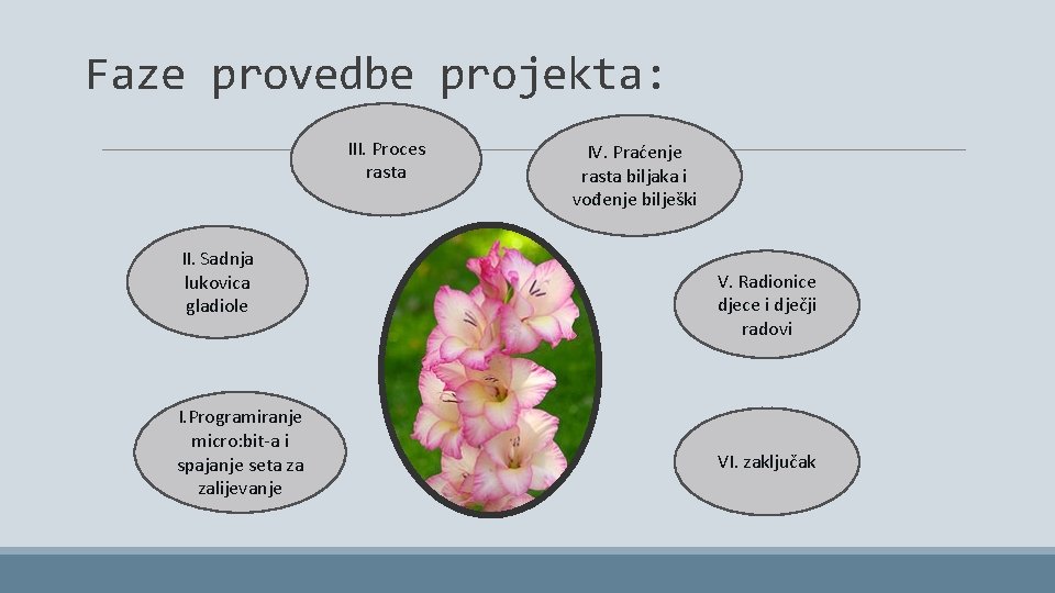 Faze provedbe projekta: III. Proces rasta II. Sadnja lukovica gladiole I. Programiranje micro: bit-a