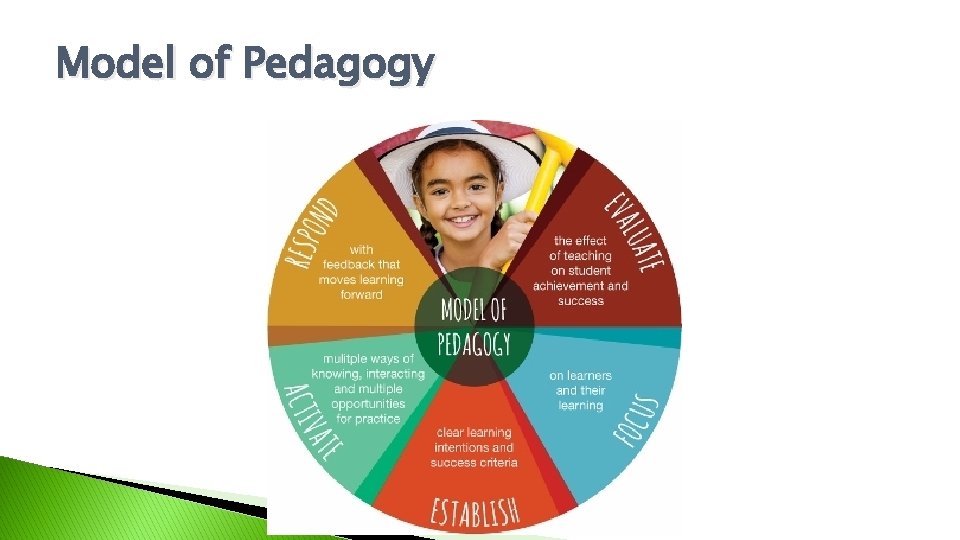 Model of Pedagogy 