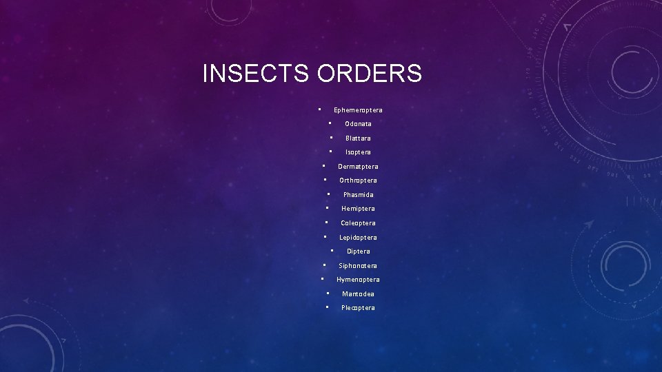 INSECTS ORDERS Ephemeroptera • • Odonata • Blattara • Isoptera • Dermatptera • Orthroptera