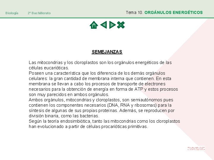 Biología Tema 10. ORGÁNULOS ENERGÉTICOS 2º Bachillerato SEMEJANZAS Las mitocondrias y los cloroplastos son