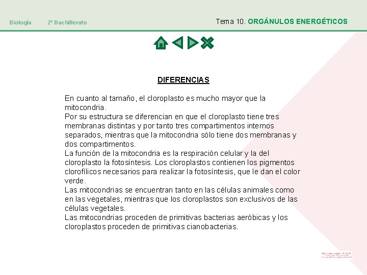 Biología Tema 10. ORGÁNULOS ENERGÉTICOS 2º Bachillerato DIFERENCIAS En cuanto al tamaño, el cloroplasto