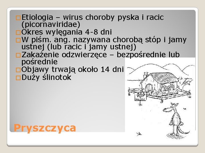 �Etiologia – wirus choroby pyska i racic (picornaviridae) �Okres wylęgania 4 -8 dni �W