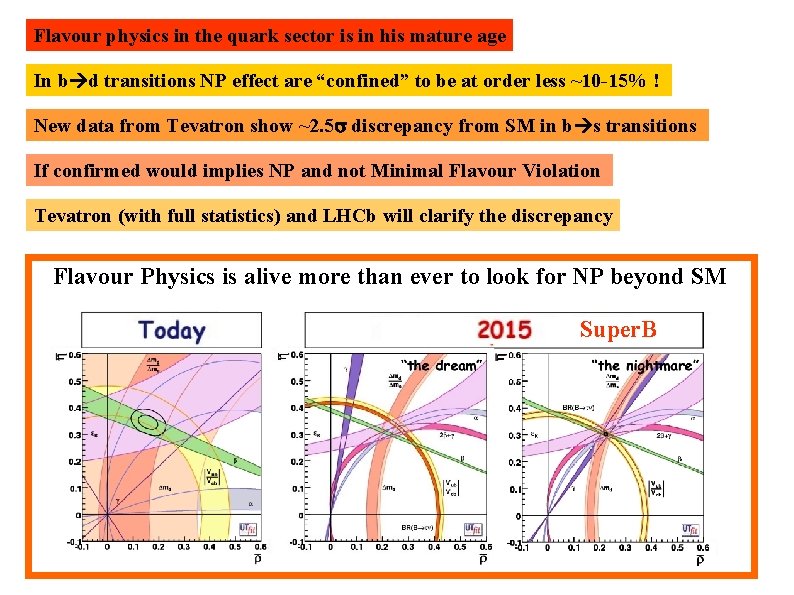 Flavour physics in the quark sector is in his mature age In b d