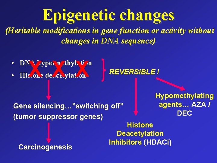 Epigenetic changes (Heritable modifications in gene function or activity without changes in DNA sequence)