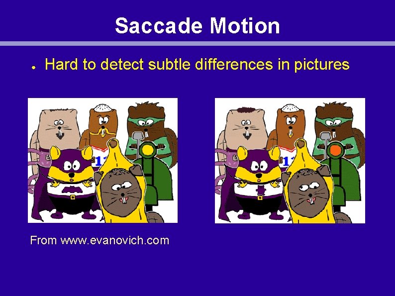 Saccade Motion ● Hard to detect subtle differences in pictures From www. evanovich. com