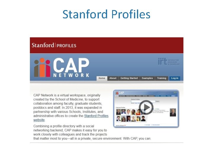 Stanford Profiles 