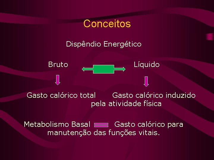 Conceitos Dispêndio Energético Bruto Líquido Gasto calórico total Gasto calórico induzido pela atividade física