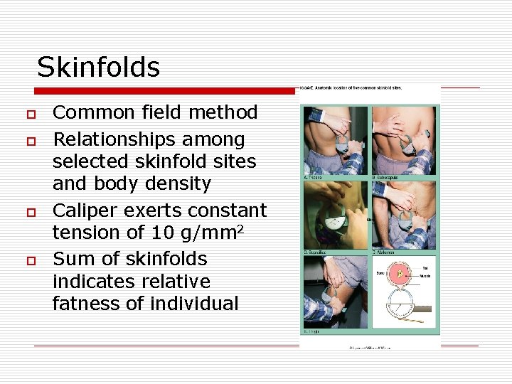 Skinfolds o o Common field method Relationships among selected skinfold sites and body density Skinfolds o o Common field method Relationships among selected skinfold sites and body density