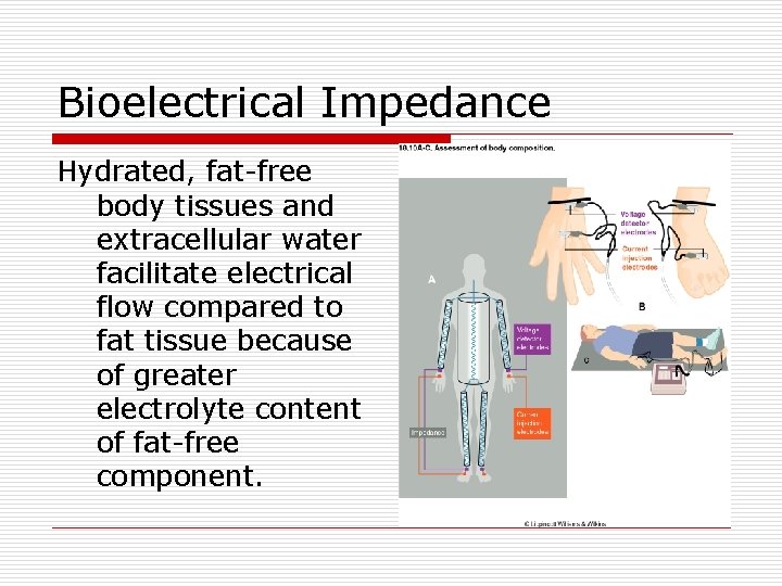 Bioelectrical Impedance Hydrated, fat-free body tissues and extracellular water facilitate electrical flow compared to