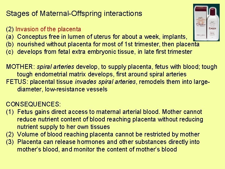 Stages of Maternal-Offspring interactions (2) Invasion of the placenta (a) Conceptus free in lumen