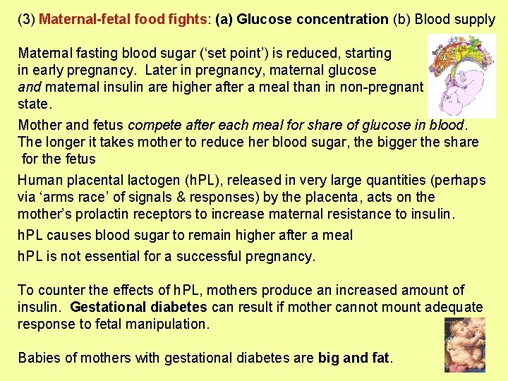 (3) Maternal-fetal food fights: (a) Glucose concentration (b) Blood supply Maternal fasting blood sugar