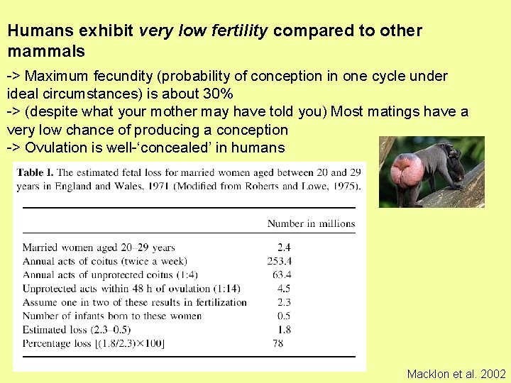 Humans exhibit very low fertility compared to other mammals -> Maximum fecundity (probability of