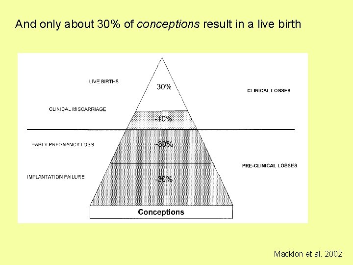 And only about 30% of conceptions result in a live birth Macklon et al.