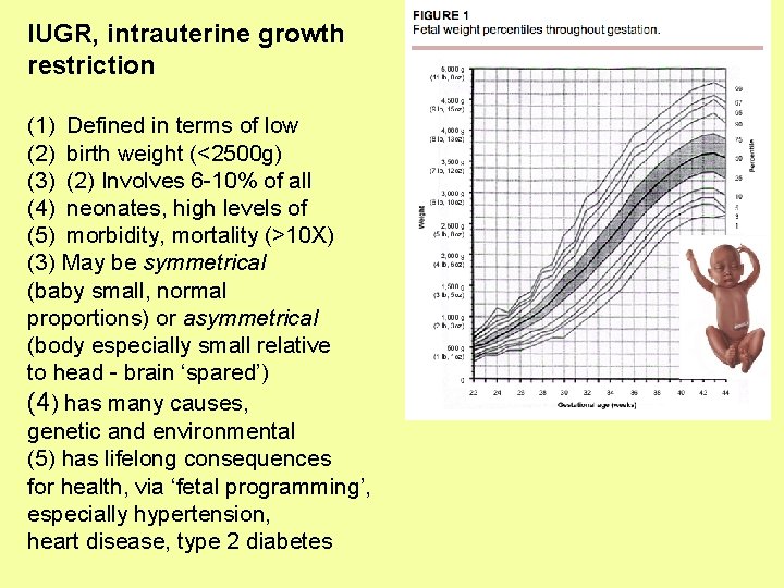 IUGR, intrauterine growth restriction (1) Defined in terms of low (2) birth weight (<2500