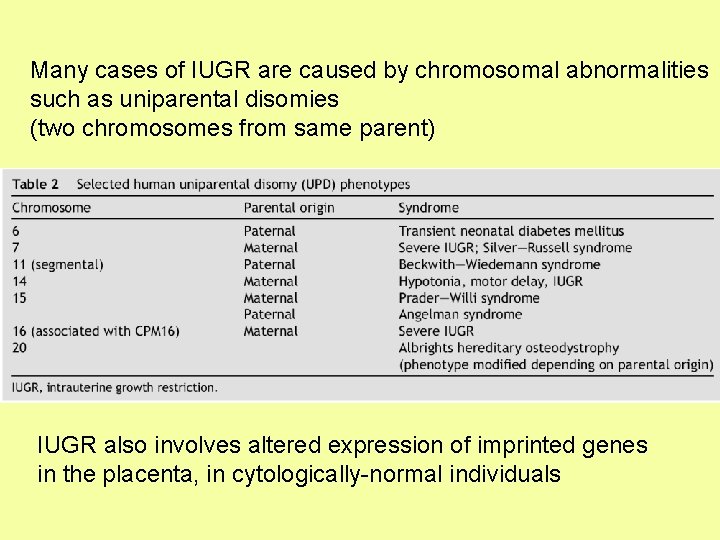 Many cases of IUGR are caused by chromosomal abnormalities such as uniparental disomies (two