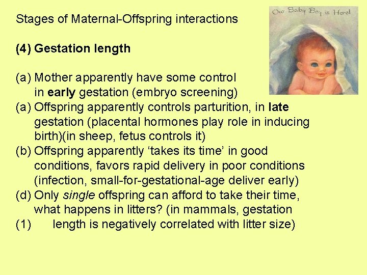 Stages of Maternal-Offspring interactions (4) Gestation length (a) Mother apparently have some control in