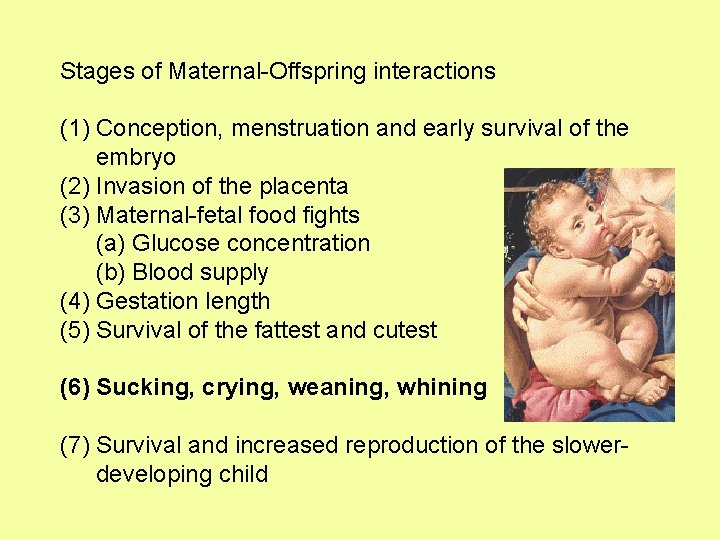 Stages of Maternal-Offspring interactions (1) Conception, menstruation and early survival of the embryo (2)