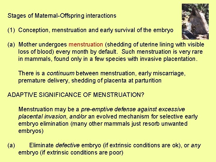 Stages of Maternal-Offspring interactions (1) Conception, menstruation and early survival of the embryo (a)