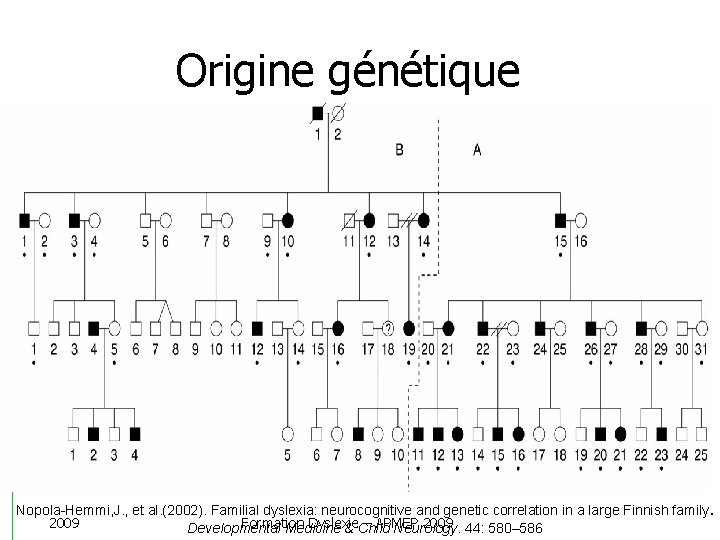 Origine génétique Nopola-Hemmi, J. , et al. (2002). Familial dyslexia: neurocognitive and genetic correlation