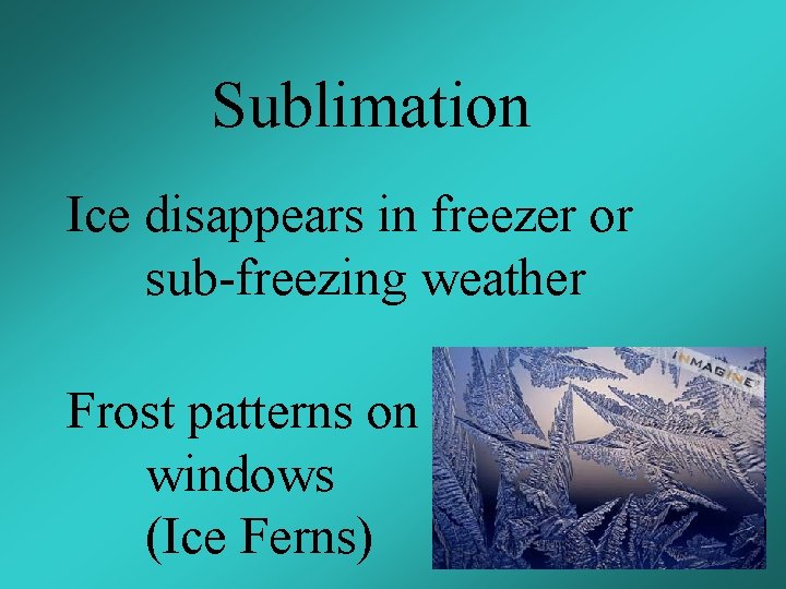 Sublimation Ice disappears in freezer or sub-freezing weather Frost patterns on windows (Ice Ferns)