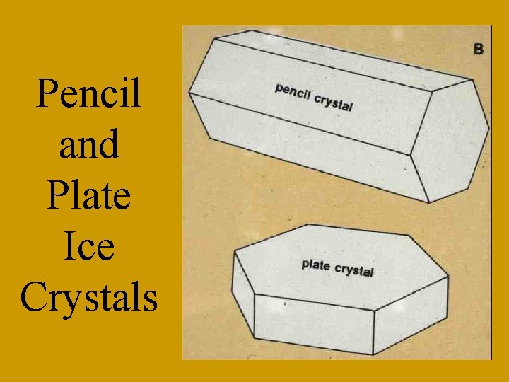 Pencil and Plate Ice Crystals 