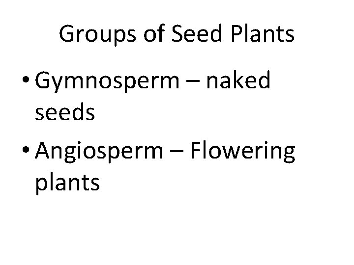 Groups of Seed Plants • Gymnosperm – naked seeds • Angiosperm – Flowering plants