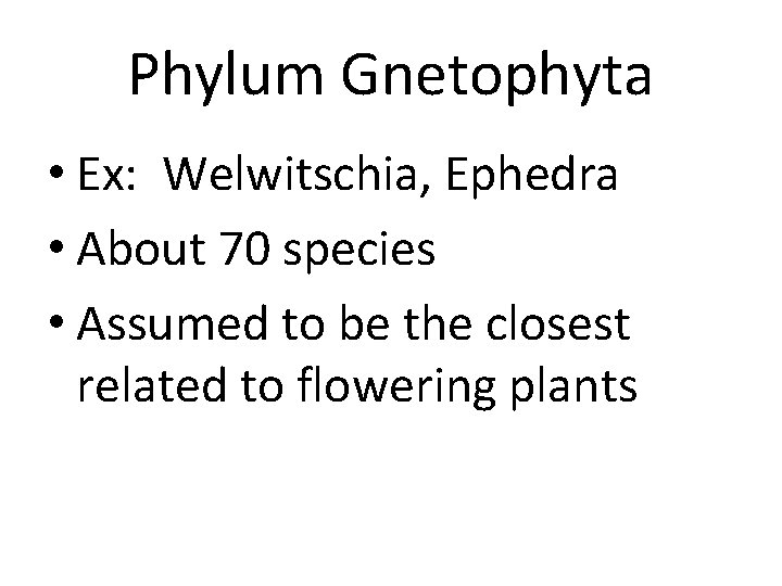 Phylum Gnetophyta • Ex: Welwitschia, Ephedra • About 70 species • Assumed to be