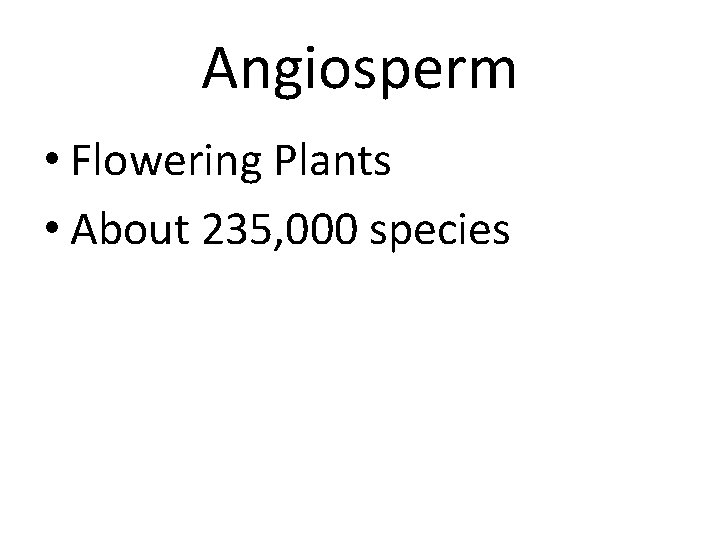 Angiosperm • Flowering Plants • About 235, 000 species 